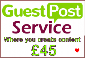 Ste-B2B Guest Post you provide content £45: Order Option Support Information Banner