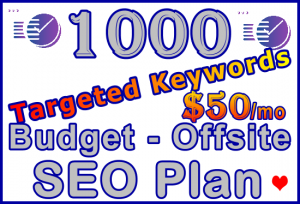 Ste-B-B2B SEO-Solutions Offsite SEO 1,000 keywords £50: Visitor Sales Support Information Banner