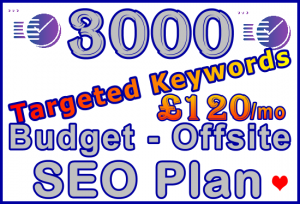 Ste-B-B2B SEO-Solutions Offsite SEO 3,000 keywords £120: Visitor Sales Support Information Banner