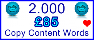 Ste-B-B2B 2000 Words Copy £85: Visitor Sales Support Information Banner