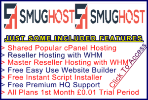 Ste-B2B SmartHost Example Banner Link White - red blue logo edit