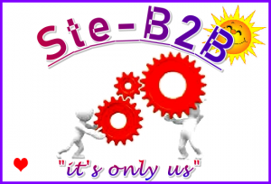 Ste-B2B Cogs Logo Team Heart Sun 550 x 374