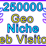 Ste-B2B Web Visitors 250.000 Visitor Sales Banner Information Support Banner
