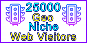 Ste-B2B Web Visitors 25000 Visitor Sales Banner Information Support Banner