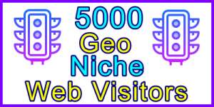 Ste-B2B Web Visitors 5000 Visitor Sales Banner Information Support Banner