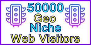 Ste-B2B Web Visitors 50000 Visitor Sales Banner Information Support Banner