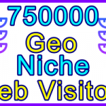 Ste-B2B Web Visitors 750.000 Visitor Sales Banner Information Support Banner