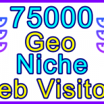 Ste-B2B Web Visitors 750000 Visitor Sales Banner Information Support Banner