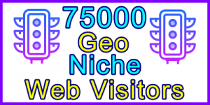 Ste-B2B Web Visitors 750000 Visitor Sales Banner Information Support Banner