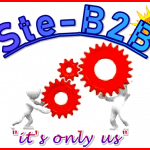 Ste-B2B Cogs Logo Team Heart Blue Sun Red Border 550 x 374