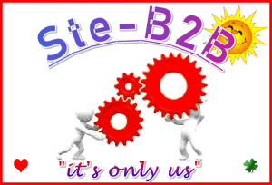 Ste-B2B Cogs Logo Team Heart Sun Red Border 550 x 374