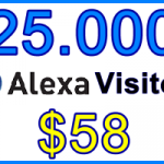 Ste-B2B Alexa Traffic 25.000 $58