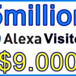 Ste-B2B Alexa Traffic 5MILLION $9.000