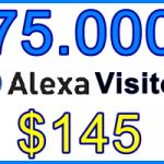 Ste-B2B Alexa Traffic 75.000 $145