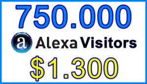 Ste-B2B Alexa Traffic 750.000 $1300