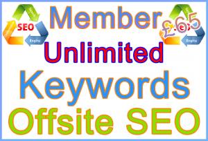 Ste-B2B Offsite SEO Member Unlimited Keywords £65