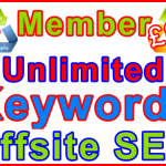 Ste-B2B Offsite SEO Member Unlimited Keywords £95