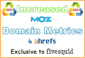 Digital-Trigga Domain 2x Metrics 1 URL £125