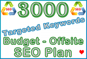 Ste-B2B Budget Offsite SEO 3000 Targeted Keywords