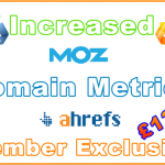 Ste-B2B Domain 2x Metrics 1 URL £125