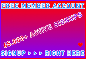 B2B-Ste Member Account 50,000+ Visitor Signup Area Navigation Support