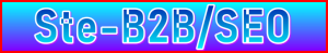 Ste-B2B.Agency SEO Page Title - Visitor Navigation Information Support Banner Image