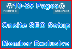 Ste-B2B.Agency Onsite SEO 10-25 Pages Setup