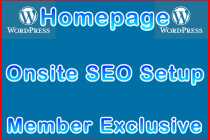 Ste-B2B.Agency Onsite SEO Homepage Setup