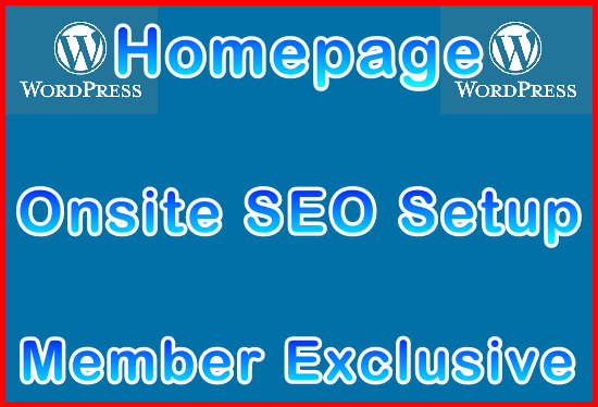 Ste-B2B.Agency Onsite SEO Homepage Setup