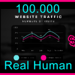 Ste-B2B.Agency Web Traffic 100.000 $180