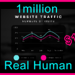 Ste-B2B.Agency Web Traffic 1million $1700
