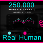 Ste-B2B.Agency Web Traffic 250.000 $460