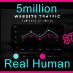 Ste-B2B.Agency Web Traffic 5million $7000