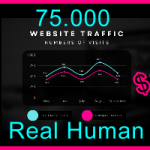 Ste-B2B.Agency Web Traffic 75.000 $170