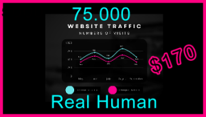 Ste-B2B.Agency Web Traffic 75.000 $170
