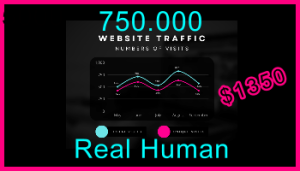 Ste-B2B.Agency Web Traffic 750.000 $1350