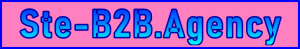Ste-B2B.Agency Homepage Title - Visitor Navigation Support Banner Image Pink Blue