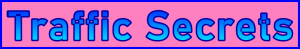 Ste-B2B.Agency Web Traffic Agency Secrets Page Title - Visitor Navigation Support Banner Image Pink Blue
