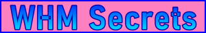 Ste-B2B.Agency WHM Secrets Page Title - Visitor Navigation Support Banner Image Pink Blue