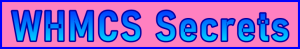 Ste-B2B.Agency WHMCS Secrets Page Title - Visitor Navigation Support Banner Image Pink Blue