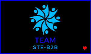 Logo Image Team Ste-B2B Blue