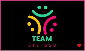 Logo Image Team Ste-B2B Green Pink Yellow