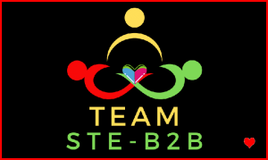 Logo Team Ste-B2B Green Red Yellow