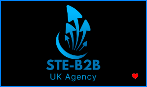 Ste-B2B Logo Image Arrows Blue