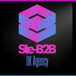 Ste-B2B Logo Image Square Diamond Pink Blue