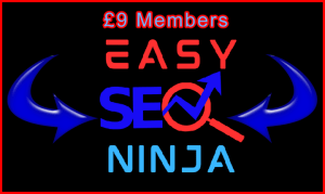 Image Easy SEO Ninja Banner Image Black Blue Red 9GBP