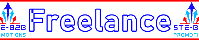 Ste-B2B Freelancer Secrets Visitor Information Support Banner Image Red White Blue EDITed