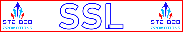 Ste-B2B SSL Secrets Visitor Information Support Banner Image Red White Blue EDITed