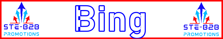 Ste-B2B Webmaster Bing Secrets Visitor Information Support Banner Image Red White Blue EDITed