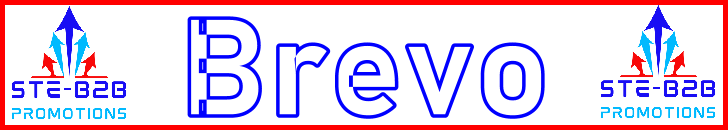 Ste-B2B Webmaster Brevo Secrets Visitor Information Support Banner Image Red White Blue EDITed